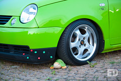 Maxa's Green VW Lupo • <a style="font-size:0.8em;" href="http://www.flickr.com/photos/54523206@N03/7166561934/" target="_blank">View on Flickr</a>