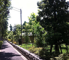 近隣風景⑥　広尾北公園