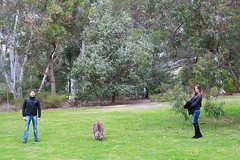 Canberra Botanic Garden