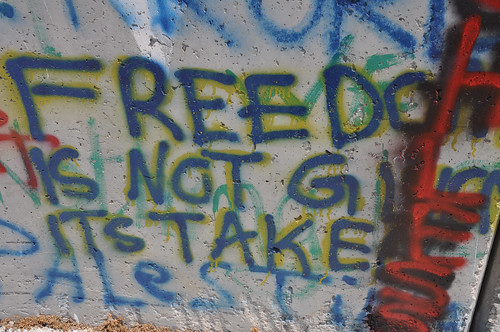 Freedom is Not Given It is Taken