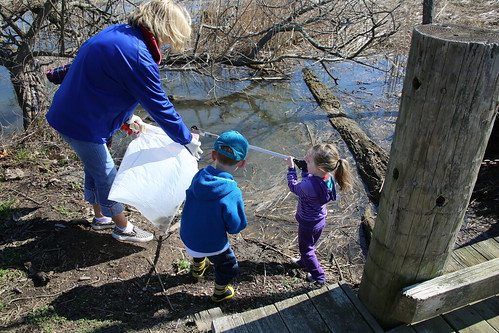 Potomac River Watershed Clean Up • <a style="font-size:0.8em;" href="http://www.flickr.com/photos/117301827@N08/13646255805/" target="_blank">View on Flickr</a>