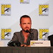 Breaking Bad - Panel • <a style="font-size:0.8em;" href="http://www.flickr.com/photos/62862532@N00/7566151194/" target="_blank">View on Flickr</a>