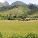 Paysage typique du Laos