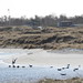 2012-03-19-14h50m16_Dänemark_(Ebeltoft) • <a style="font-size:0.8em;" href="http://www.flickr.com/photos/25421736@N07/7009912291/" target="_blank">View on Flickr</a>