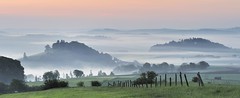 *early morning in the volcanic Eifel - panoramic view*