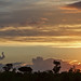 Elephant Cloud- Kruger National Park, South Africa