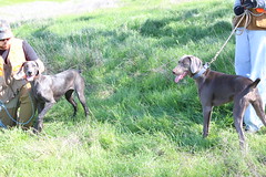 Benelli & Juno 03.15.14 06 • <a style="font-size:0.8em;" href="http://www.flickr.com/photos/66999112@N00/13181429475/" target="_blank">View on Flickr</a>