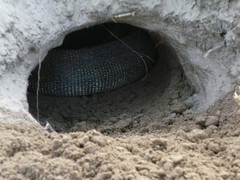 Snake in the Hole