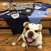 Rolled out that new #Butler brand last week, complete w/ new @ButlerBookstore merch. More to come this summer/fall! • <a style="font-size:0.8em;" href="http://www.flickr.com/photos/73758397@N07/16316148663/" target="_blank">View on Flickr</a>