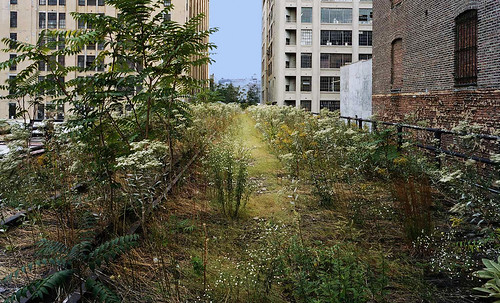 High Line NY Resemantización • <a style="font-size:0.8em;" href="http://www.flickr.com/photos/30735181@N00/8745393344/" target="_blank">View on Flickr</a>