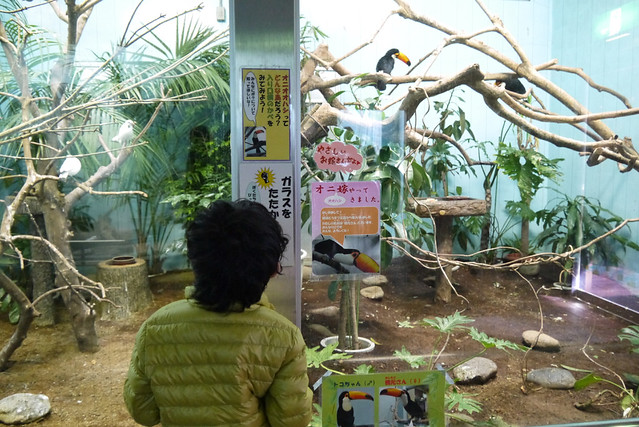 こちらは元々ある熱帯鳥類館。｜静岡市立日本平動物園