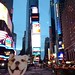 Sent the humans to Times Sq. To try to get my "face" on @GMA this morning. Tune in! #BigDawgsTour • <a style="font-size:0.8em;" href="http://www.flickr.com/photos/73758397@N07/16782610851/" target="_blank">View on Flickr</a>