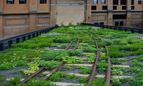 High Line NY Resemantización • <a style="font-size:0.8em;" href="http://www.flickr.com/photos/30735181@N00/8745393042/" target="_blank">View on Flickr</a>