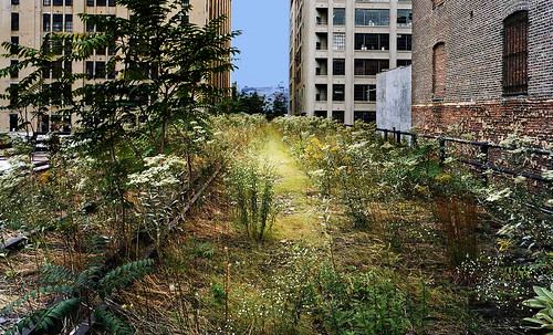 High Line NY Resemantización • <a style="font-size:0.8em;" href="http://www.flickr.com/photos/30735181@N00/8745393528/" target="_blank">View on Flickr</a>