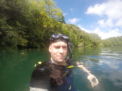 Snorkelling in Jellyfish lake should be all about seeing thousands of Jellyfish. When i was there i snorkelled around for 90 minutes but i dident see one Jellyfish. The reason why is "El Niño" and its effects changing seasons and weather.