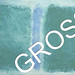 Gross • <a style="font-size:0.8em;" href="http://www.flickr.com/photos/130644965@N04/16365464641/" target="_blank">View on Flickr</a>