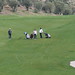 CEU Golf • <a style="font-size:0.8em;" href="http://www.flickr.com/photos/95967098@N05/8933640059/" target="_blank">View on Flickr</a>