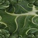 Collard Fractals • <a style="font-size:0.8em;" href="http://www.flickr.com/photos/63729613@N05/11849072846/" target="_blank">View on Flickr</a>