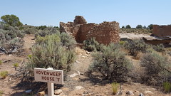 Hovenweep House