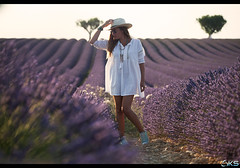 Surrounded by lavender