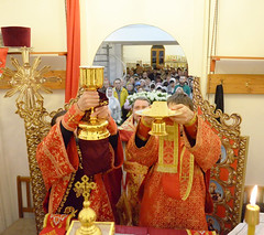 JPR_0374_новый размер