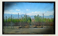 On the road to Kashgar