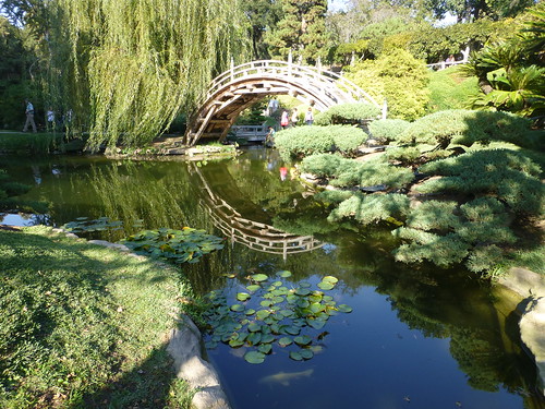 Arched Wooden Bridge In The Japanese Garden At The Huntington In
