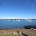 Russell harbour
