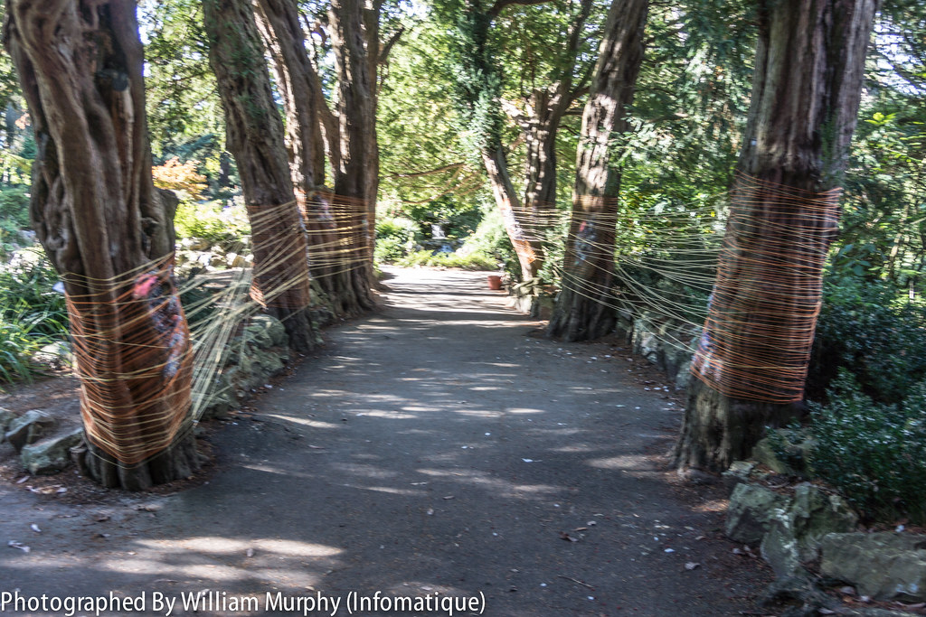 Mapping Textures By Clodagh Evelyn Kelly - Sculpture In Context 2013 In The Botanic Gardens