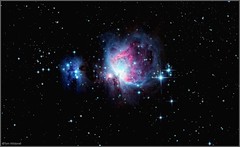 Great Orion Nebula M42