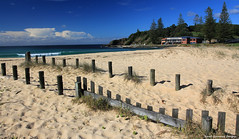 Access  Track From Black Head Creek Bridge to Black Head Beach, Hallidays Point, NSW