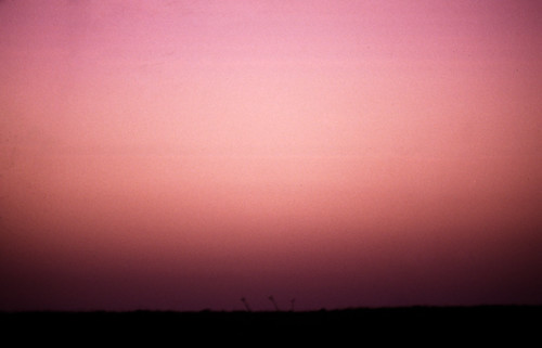 150Zypern Paphos Sonnenuntergang • <a style="font-size:0.8em;" href="http://www.flickr.com/photos/69570948@N04/14087326052/" target="_blank">Auf Flickr ansehen</a>