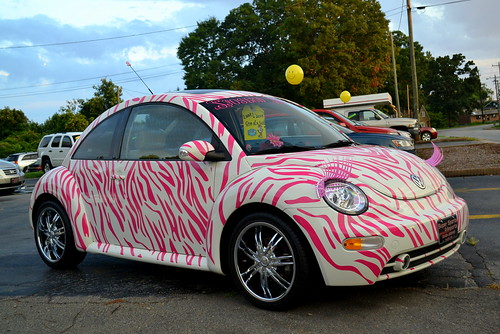 Eyelashes for Beetle Punch buggy Eyelashes Punch bug VW Beetle Eyelashes