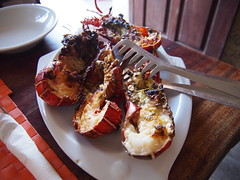 Fresh lobster!