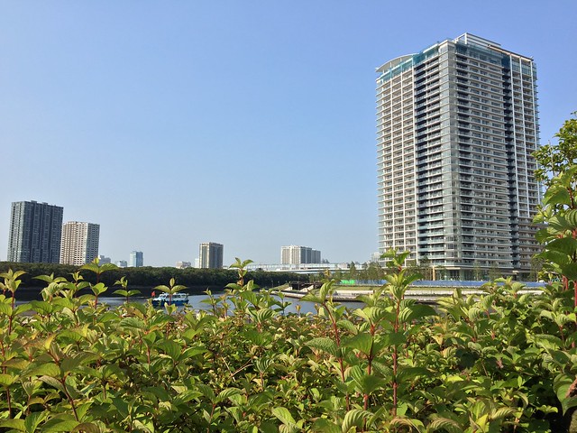 水と緑と太陽の光も東京ワンダフルプロジェ...