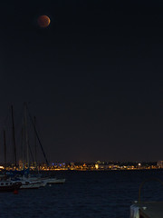 lunar eclipse over Melbourne • <a style="font-size:0.8em;" href="http://www.flickr.com/photos/44919156@N00/14093487233/" target="_blank">View on Flickr</a>