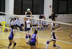 Celle Varazze vs Volleyscrivia, D femminile • <a style="font-size:0.8em;" href="http://www.flickr.com/photos/69060814@N02/16584138922/" target="_blank">View on Flickr</a>