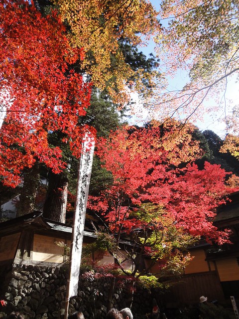 紅葉はまさに見頃。｜両界山横蔵寺