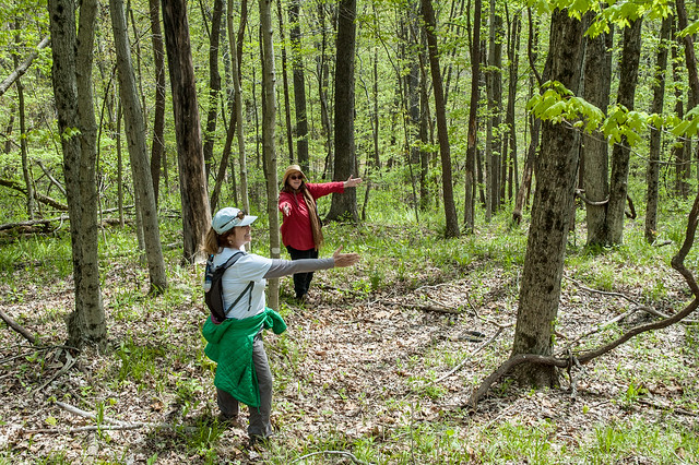 Hoosier National History Ecotour - Hoosier National Forest - Waldrip Ridge - May 3, 2014