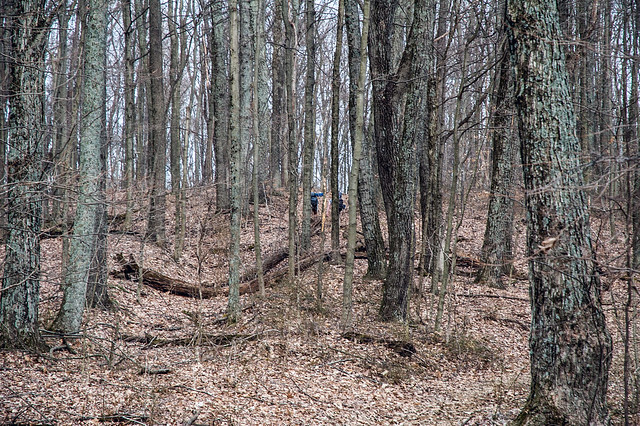 Morgan-Monroe State Forest - Back Country Area - March 10, 2014