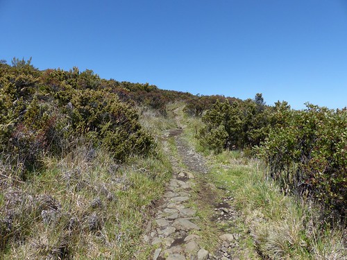 Halemau’u Trail