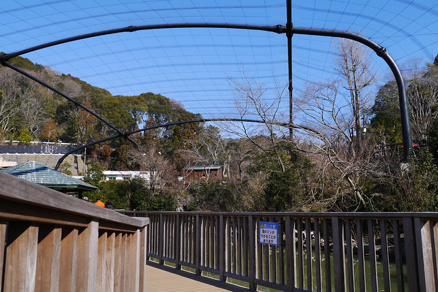 ここは新しく作られた「フライングメガドーム」。｜静岡市立日本平動物園