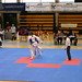 CEU Taekwondo 2006 • <a style="font-size:0.8em;" href="http://www.flickr.com/photos/95967098@N05/9039439607/" target="_blank">View on Flickr</a>