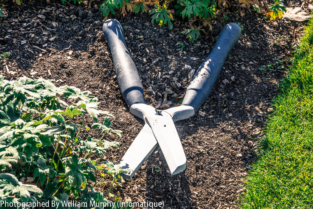 Shears By Robert Frazier - Sculpture In Context 2013 In The Botanic Gardens