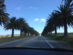 Highway outside Colonia del Sacramento, Uruguay