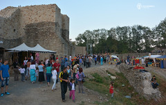 17 August 2013 » Festivalul de Artă Medievală Ștefan cel Mare