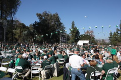 Photo representing RB: Official Tailgate