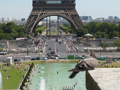 Tour Eiffel et un pigeon qui se fait photographier par les touristes