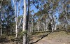 Lot 5, 500 Hanging Rock Road, Sutton Forest NSW