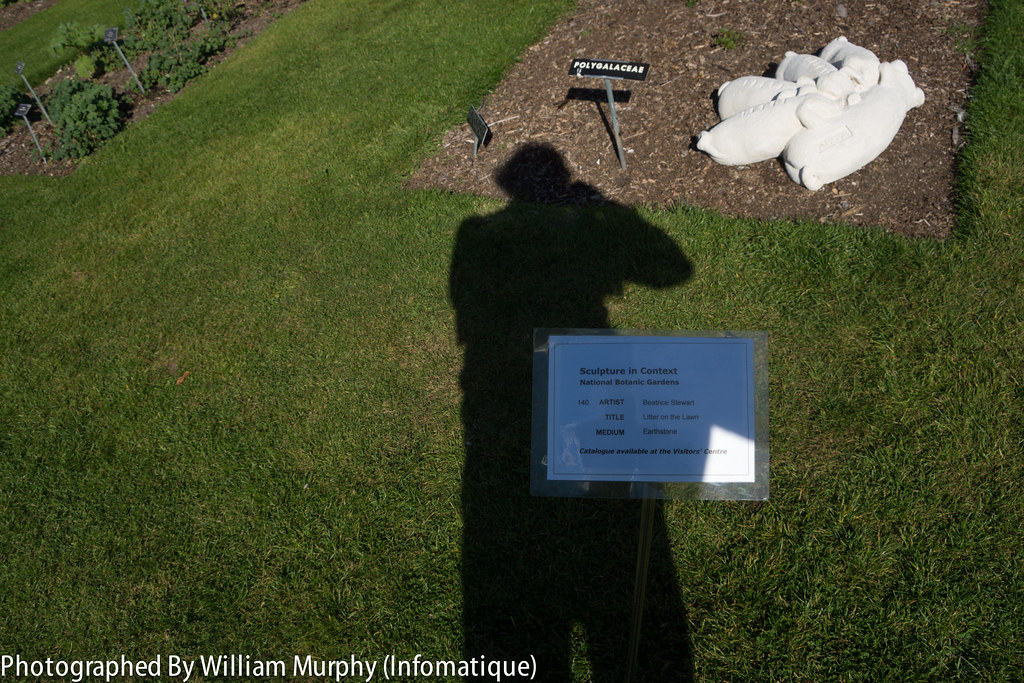 Sculpture In Context In The Botanic Gardens - Dublin In September 2013